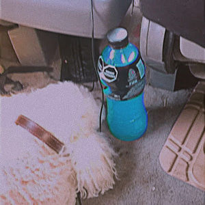 Meet your Posher, Jose